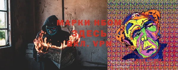 молекула духа Няндома