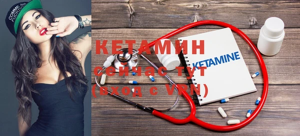 молекула духа Няндома