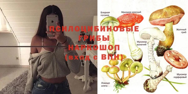 прущие крисы Нягань