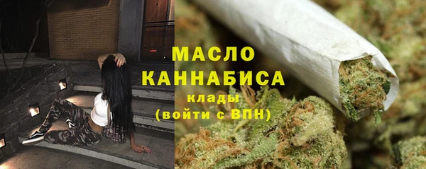 молекула духа Няндома