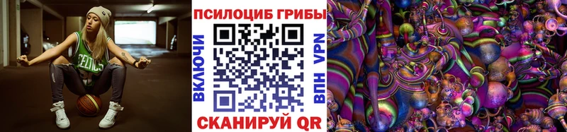 OMG ССЫЛКА  Полярный  Галлюциногенные грибы MAGIC MUSHROOMS  где найти  